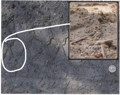 Photo of Tire Track w/inset