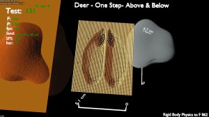 The Layer of Sand in Contact With The Foot (F-1002)