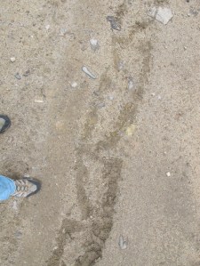 Track of vehicle with damaged tire.