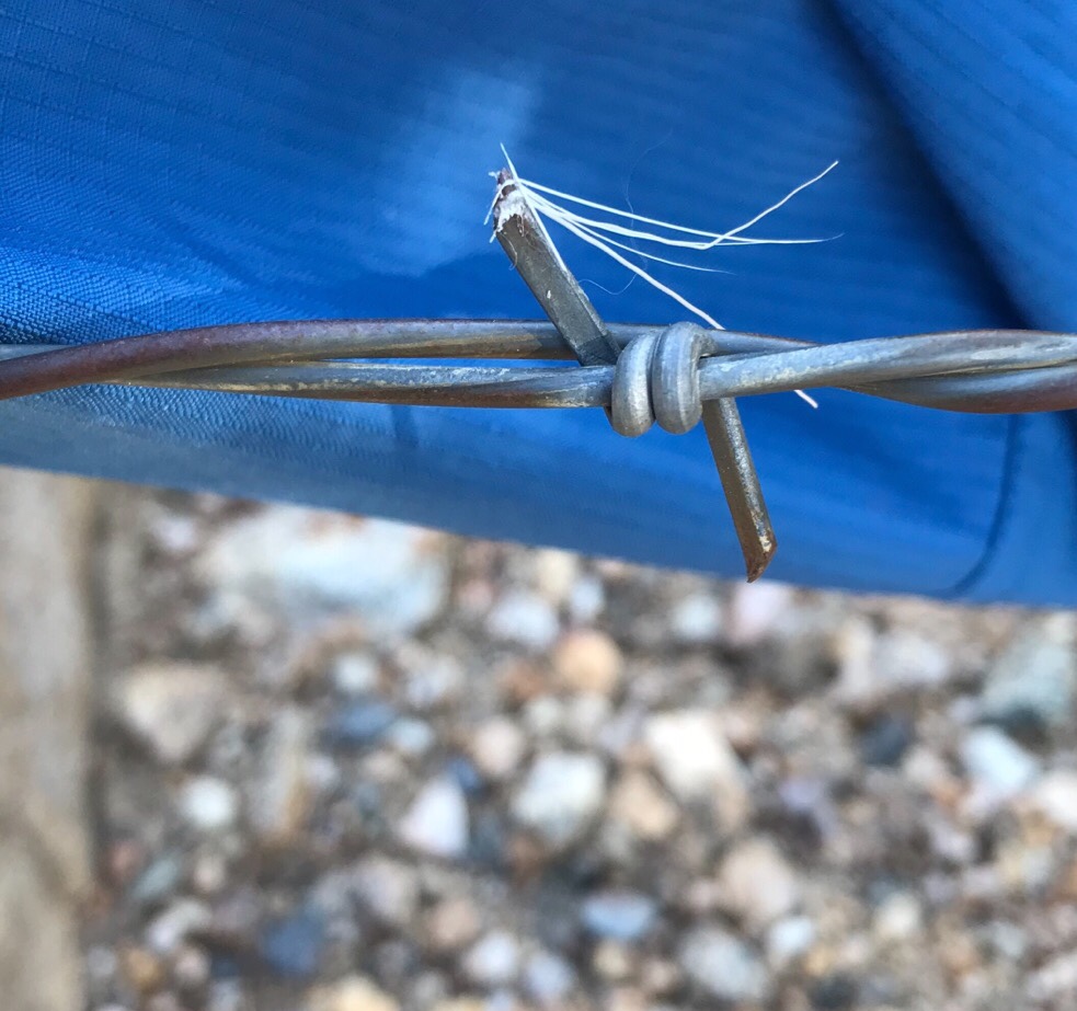 Photo of Deer Hair Caught on Barbed Wire
